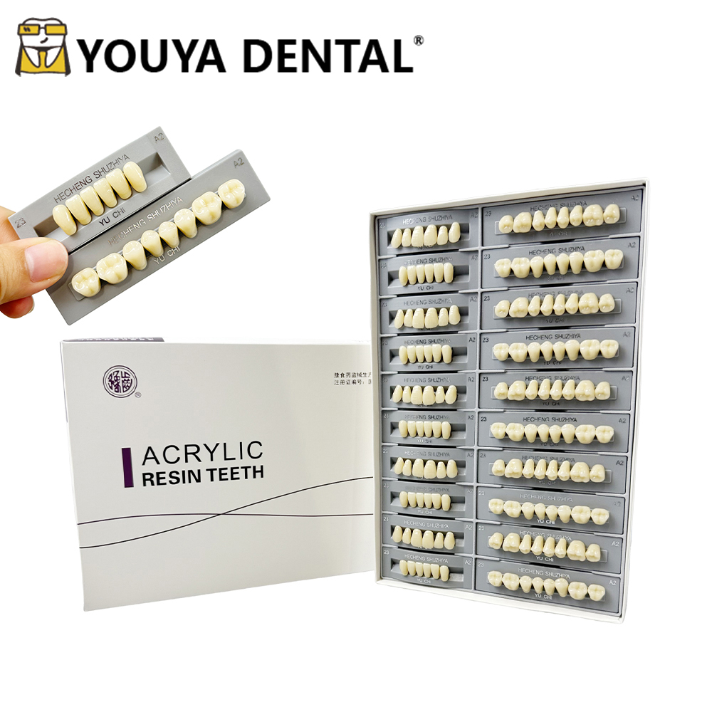 Resin Art Case - 140pcs/box Dental Teaching Model Synthetic Resin