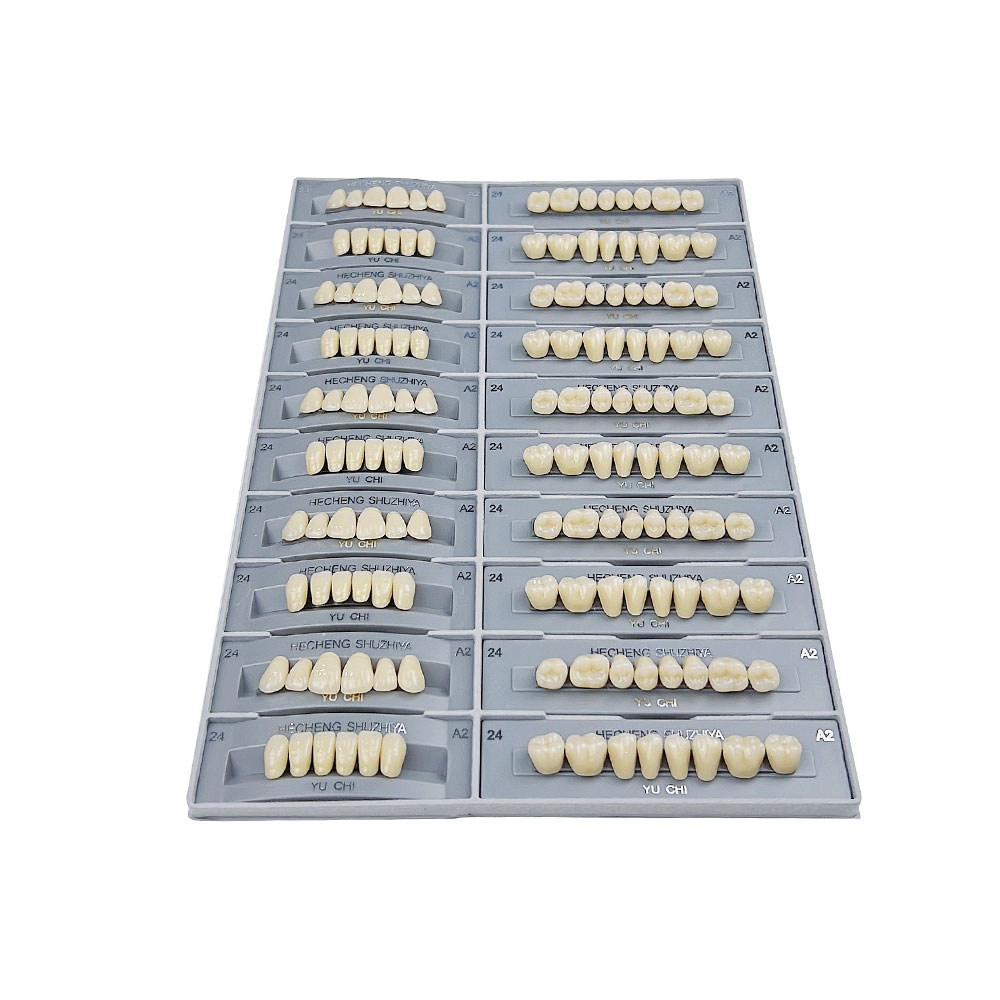 140pcs/box Dental Teaching Mod - đánh giá và giá Resin Art Case