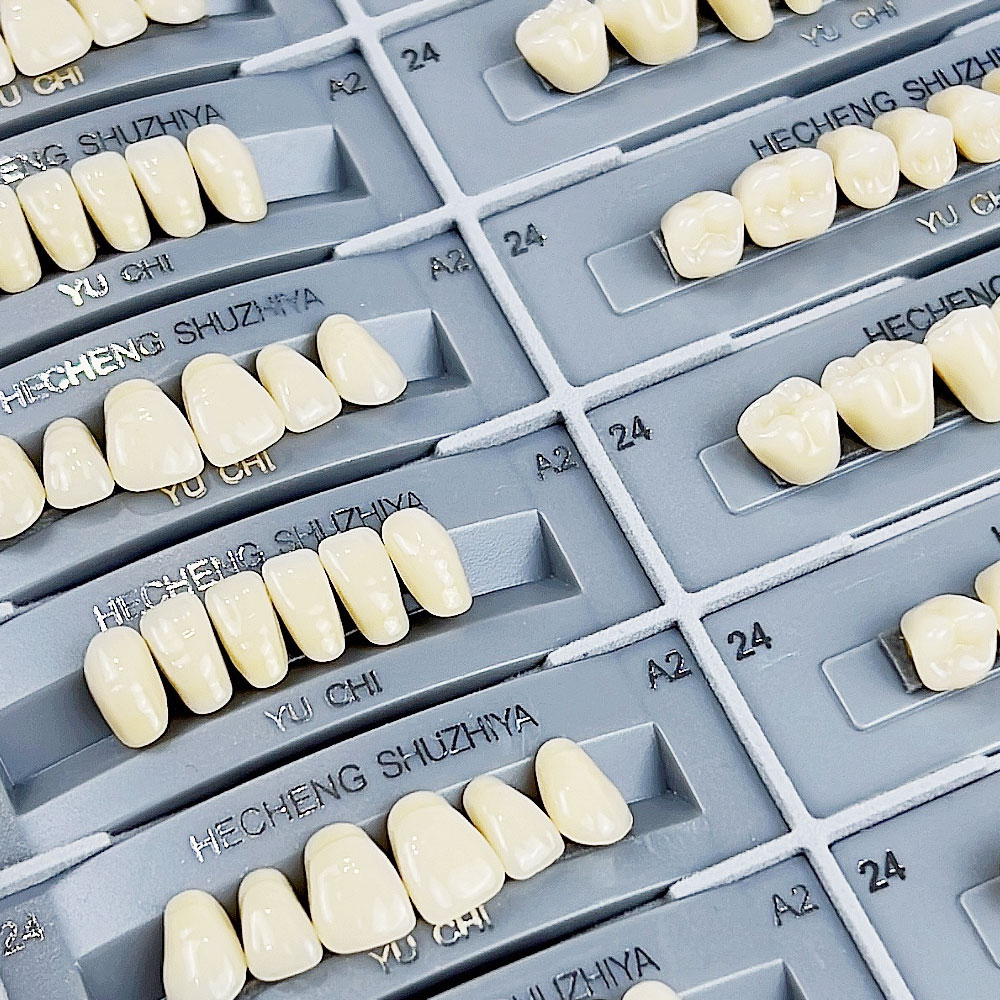 140pcs/box Dental Teaching Mod - đánh giá và giá Resin Art Case
